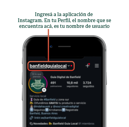 Ejemplo de usuario de Instagram